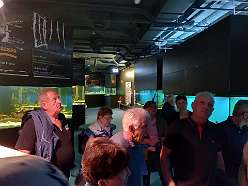 75: IMG_20221009_101631